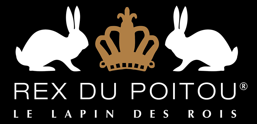 Logo lapin